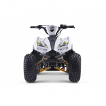 Leramotors Monkey 125 Ccm Automat yellow_6.jpg