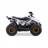Leramotors Monkey 125 Ccm Automat yellow_5.jpg