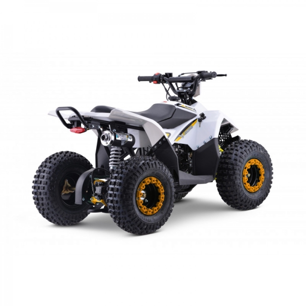 Leramotors Monkey 125 Ccm Automat yellow_3.jpg