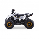 Leramotors Monkey 125 Ccm Automat yellow_4.jpg