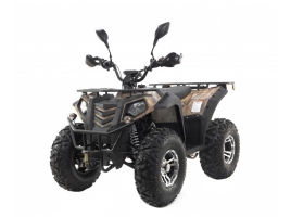 Leramotors By APOLLO RFZ 250 T3B camo_1.jpg