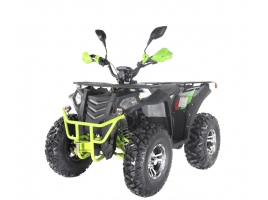 Leramotors By APOLLO RFZ 250 T3B green_1.jpg