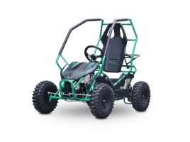 Buggy Leramotors Razor II Deluxe 1000W green_1.jpg