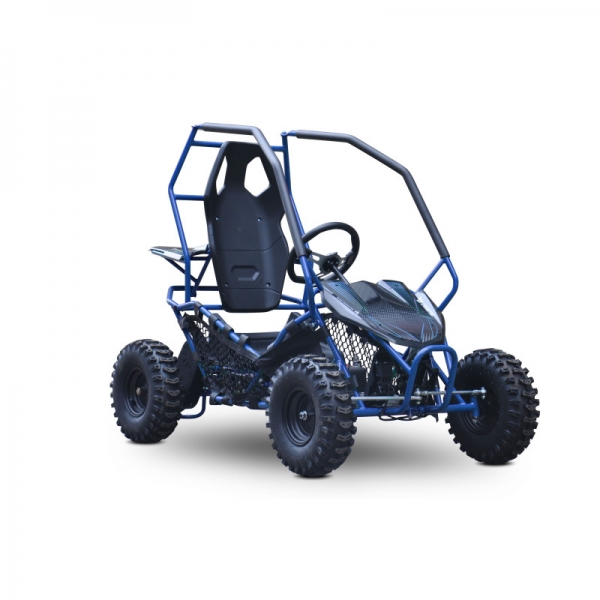 Buggy Leramotors Razor II Deluxe 1000W blue_2.jpg