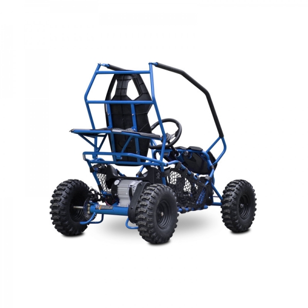 Buggy Leramotors Razor II Deluxe 1000W blue_4.jpg