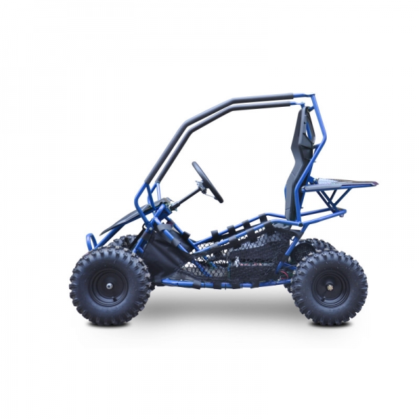 Buggy Leramotors Razor II Deluxe 1000W blue_5.jpg