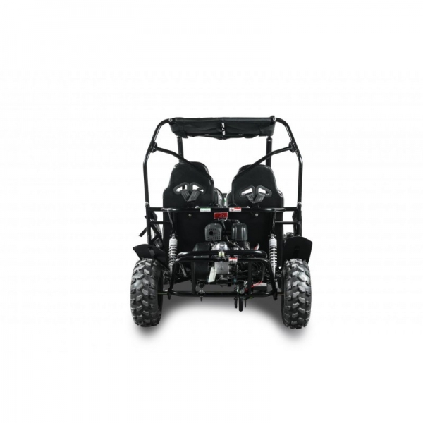 Buggy Leramotors Predator 208 Automat blue_3.jpg