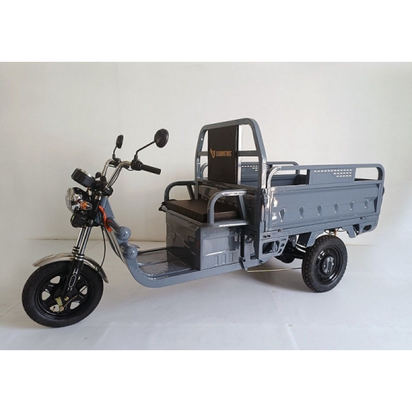 Leramotors Cargo G1 1000W COC grey_1.jpg