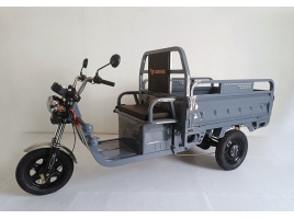 Leramotors Cargo G1 1000W COC grey_1.jpg