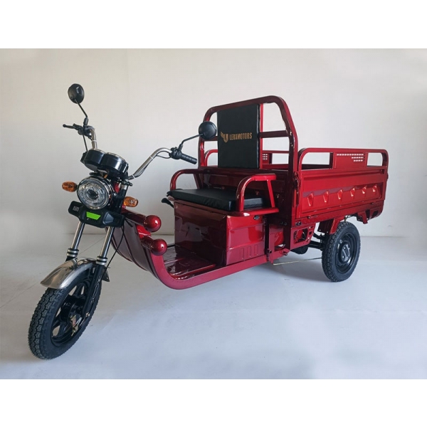 Leramotors Cargo G1 1000W COC red_1.jpg
