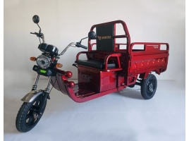 Leramotors Cargo G1 1000W COC red_1.jpg