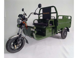 Leramotors Cargo G1 1000W COC green_1.jpg