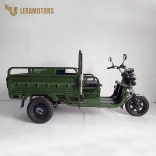 Leramotors Cargo G1 1000W COC green_2.jpg