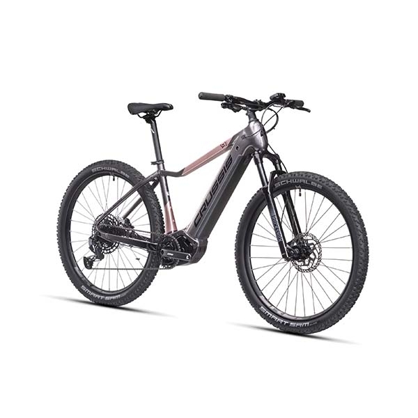e-Guera 9.10-(720 Wh)_2.jpg