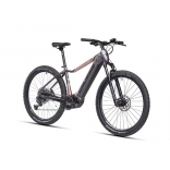 e-Guera 9.10-(720 Wh)_2.jpg