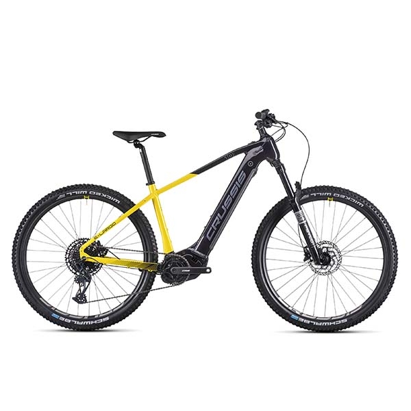 e-Largo 10.10-(900 Wh)_1.jpg