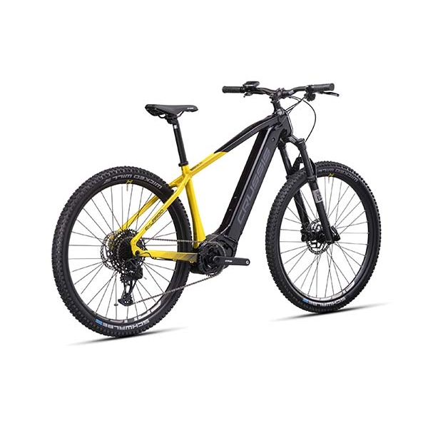 e-Largo 10.10-(900 Wh)_3.jpg
