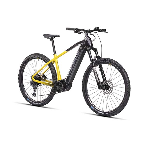 e-Largo 10.10-(900 Wh)_2.jpg