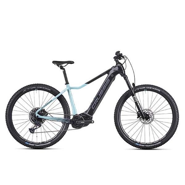 e-Fionna 10.10-(900 Wh)_1.jpg