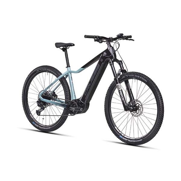 e-Fionna 10.10-(900 Wh)_2.jpg