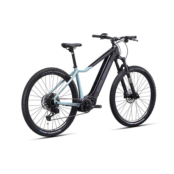 e-Fionna 10.10-(900 Wh)_3.jpg