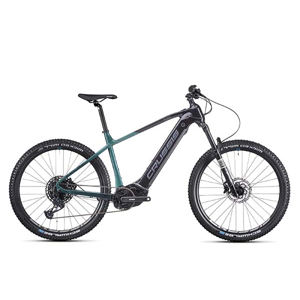 e-Atland 10.10-(900 Wh)_1.jpg