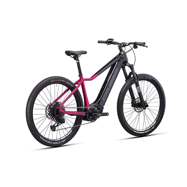 e-Guera 10.10-(900 Wh)_3.jpg