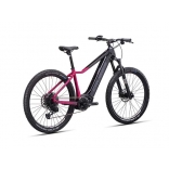 e-Guera 10.10-(900 Wh)_3.jpg
