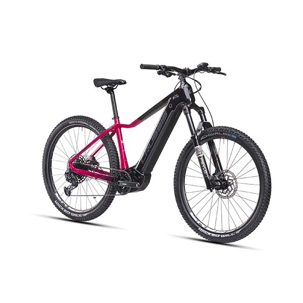 e-Guera 10.10-(900 Wh)_2.jpg