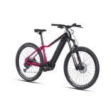 e-Guera 10.10-(900 Wh)_2.jpg