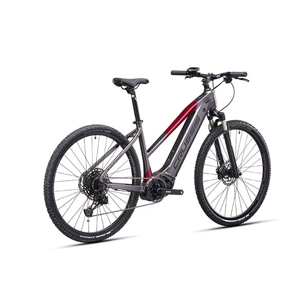 e-Cross low 9.10-(720 Wh)_3.jpg