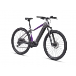 e-Fionna 9.10-(900 Wh)_2.jpg