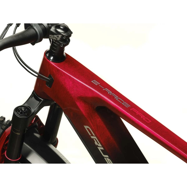 e-RACE PRO_8.jpg