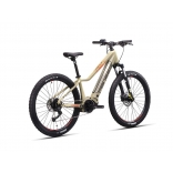 e-Guera 6.10-(522 Wh)_3.jpg