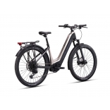 e-Country 10.10-(720 Wh)_3.jpg