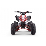 ZXT_ATV_RED_A110 10.jpg
