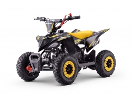 QUAD_ADVENTURE_YELLOW_QD06.jpg