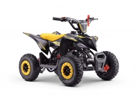 QUAD_ADVENTURE_YELLOW_QD06 2.jpg