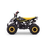 QUAD_ADVENTURE_YELLOW_QD06 7.jpg