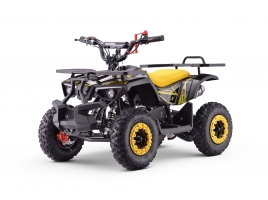 QUAD_EXPLORER_YELLOW_QD08.jpg