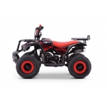 QUAD_EXPLORER_RED_QD08 4.jpg