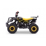 QUAD_EXPLORER_YELLOW_QD08 7.jpg