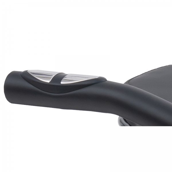Recumbent LOTTO Comodo 200.jpg