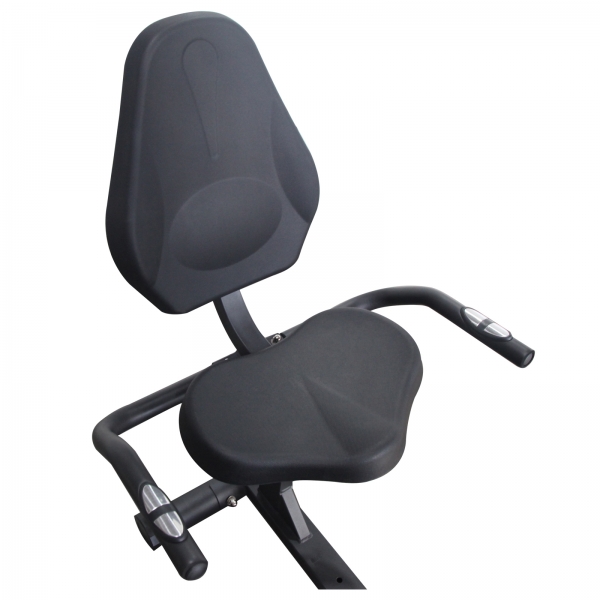 Recumbent LOTTO Comodo 300.jpg