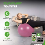 Gymnastický míč TUNTURI zesílený 75 cm Fialový.jpg