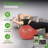 Gymnastický míč TUNTURI zesílený 65 cm Růžově zlatý.jpg
