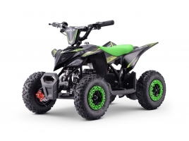 QUAD_RAPTOR_E-QD06_GREEN.jpg