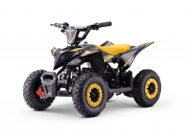 QUAD_RAPTOR_E-QD06_YELLOW.jpg