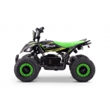 QUAD_RAPTOR_E-QD06_GREEN 7.jpg