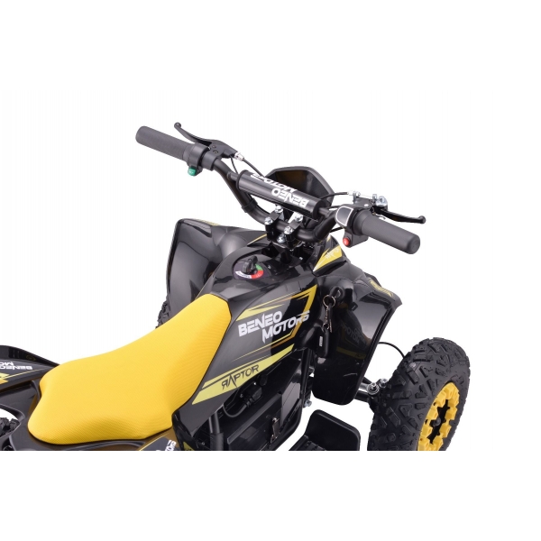 QUAD_RAPTOR_E-QD06_YELLOW 5.jpg
